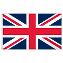 Flag of other